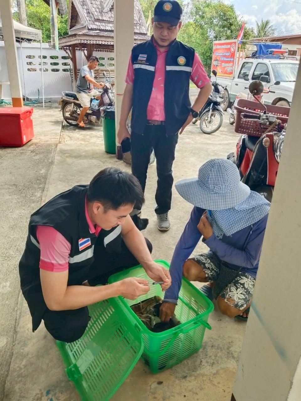 ข่าวกิจกรรม