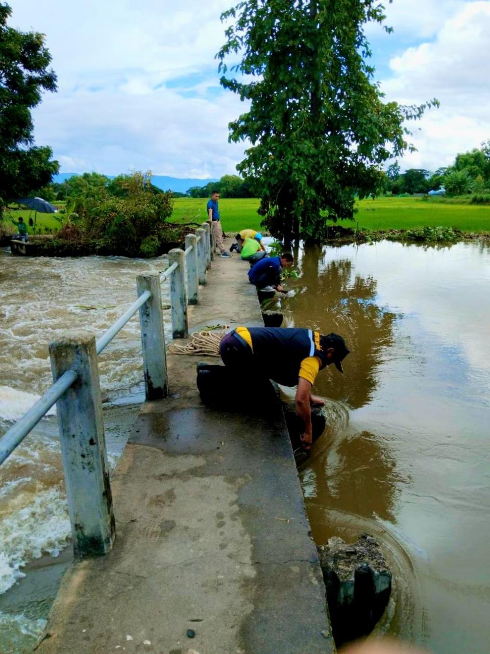 ภาพกิจกรรม