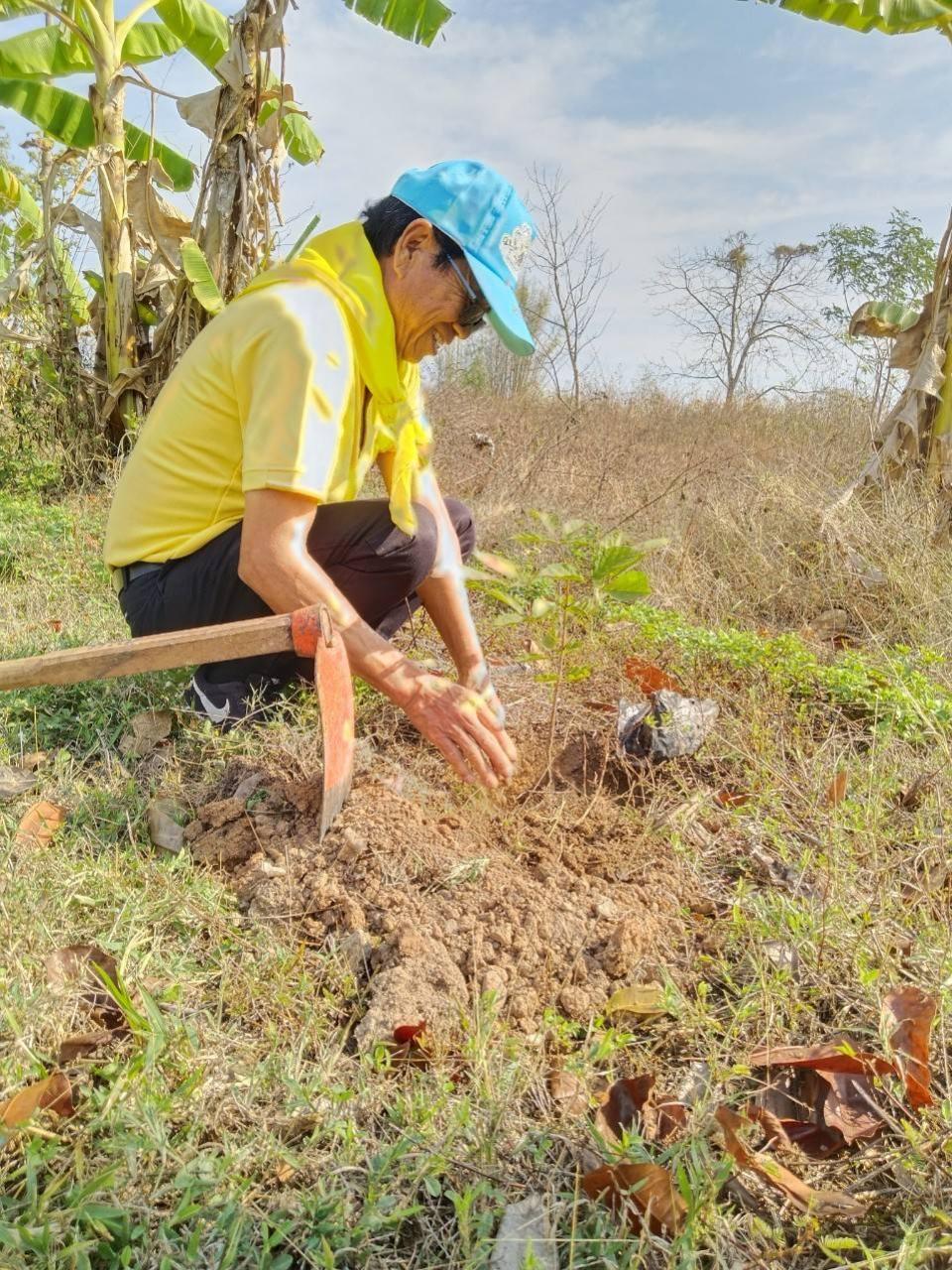 ภาพกิจกรรม