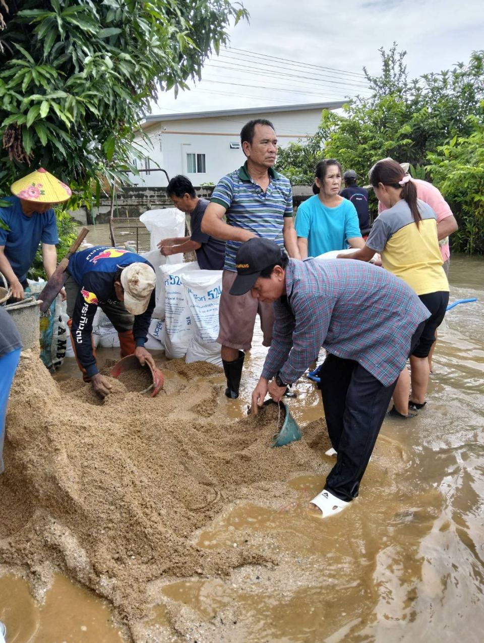 ภาพกิจกรรม