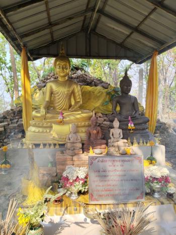 ภาพกิจกรรม
