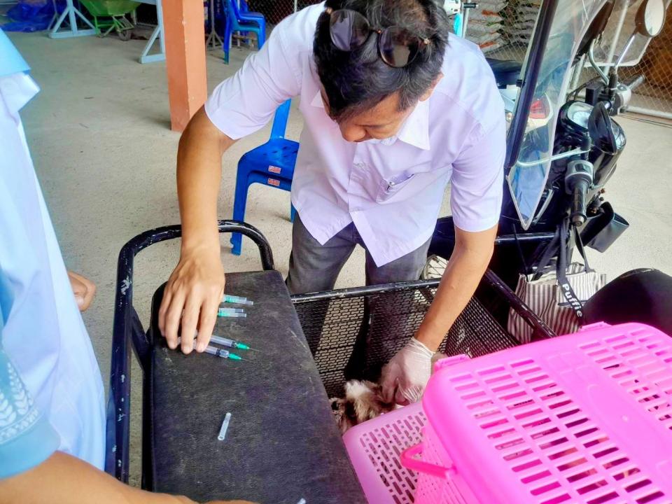 ภาพกิจกรรมรวม