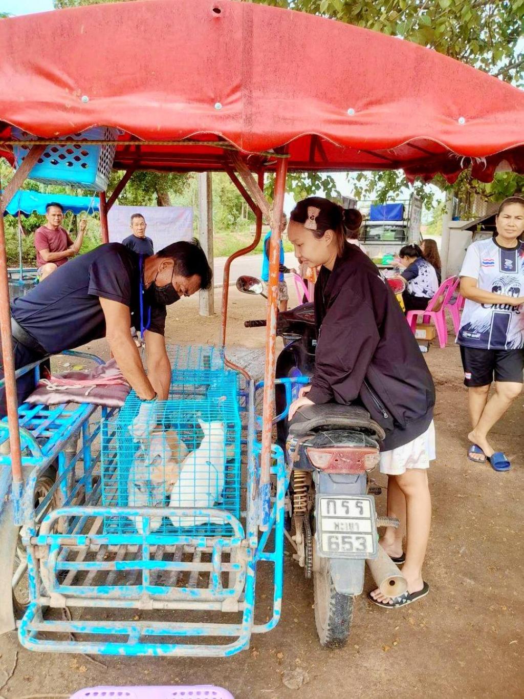 ข่าวกิจกรรม