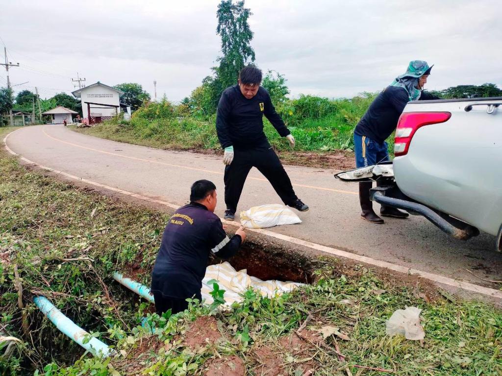 ข่าวกิจกรรม