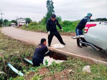 ภาพกิจกรรม