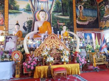ภาพกิจกรรม